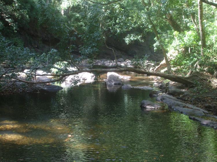 Vendo finca de 17 Hectareas en 38millones de colones en La Cruz Guanacaste