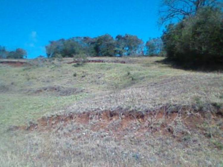 SE VENDE LOTE EN CARTAGO SAN NICOLAS QUIRCOT