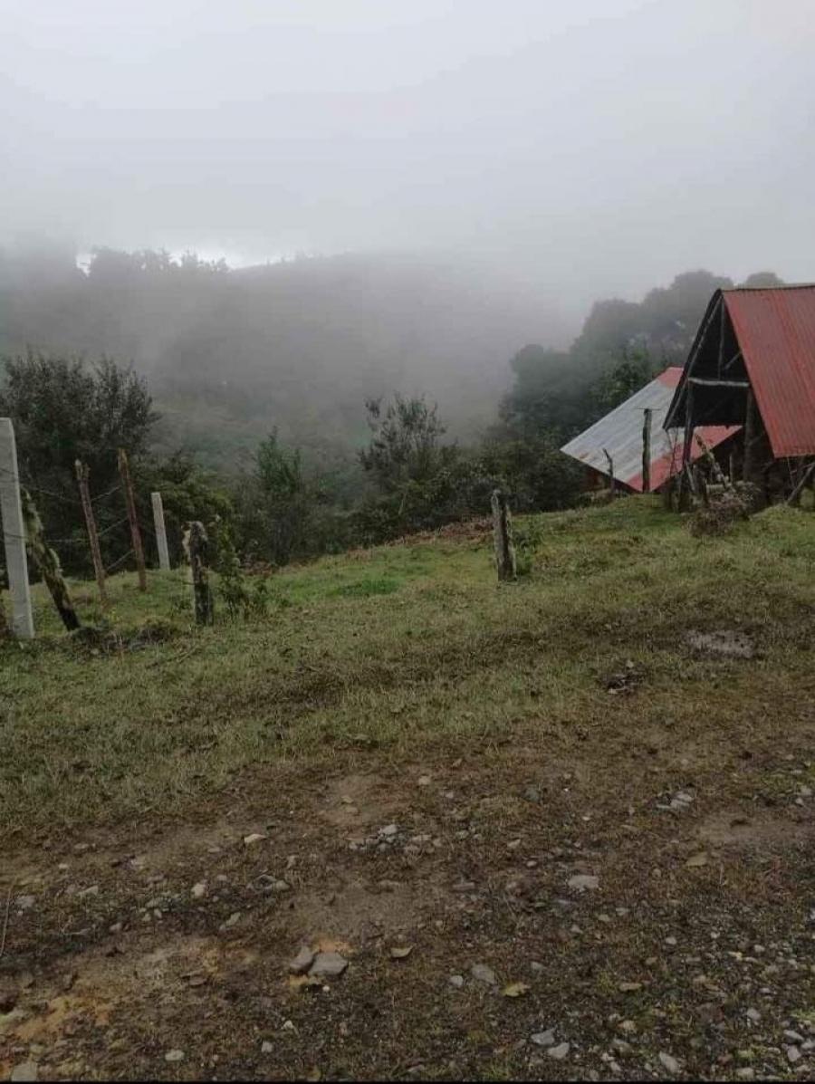 Foto Terreno en Venta en San Isidro, El Guarco, Cartago - ¢ 7.000.000 - TEV109061 - BienesOnLine