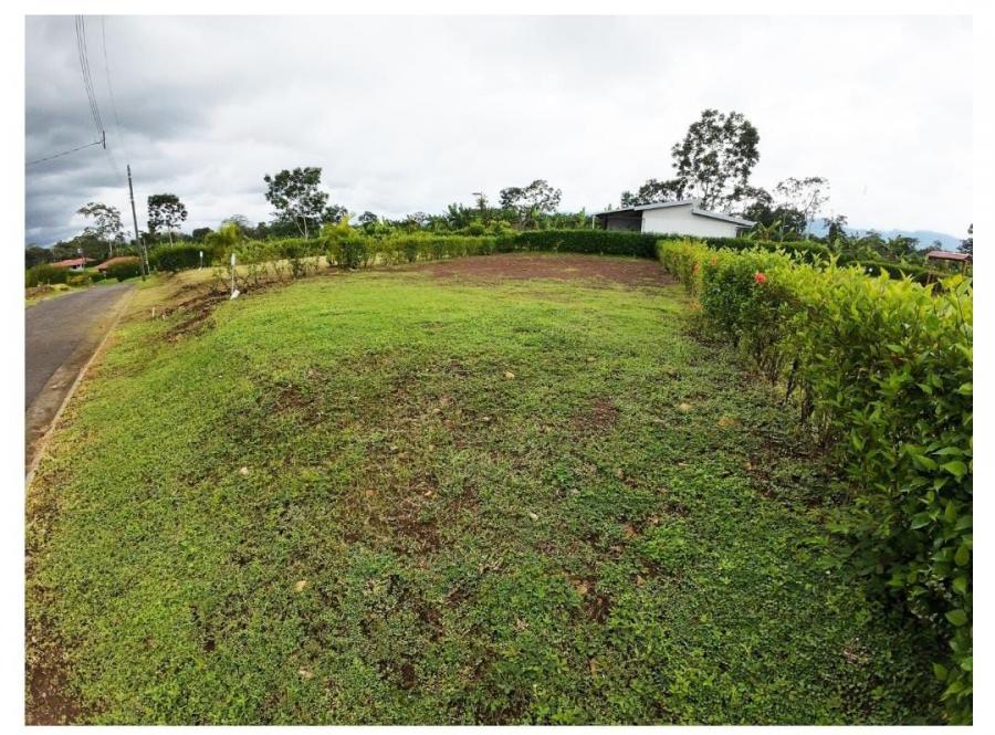 Foto Terreno en Venta en La Fortuna, San Carlos, Alajuela - ¢ 17.200.000 - TEV87513 - BienesOnLine