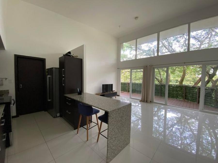 Foto Apartamento en Alquiler en Santa Ana, San Jos - U$D 1.300 - APA38613 - BienesOnLine