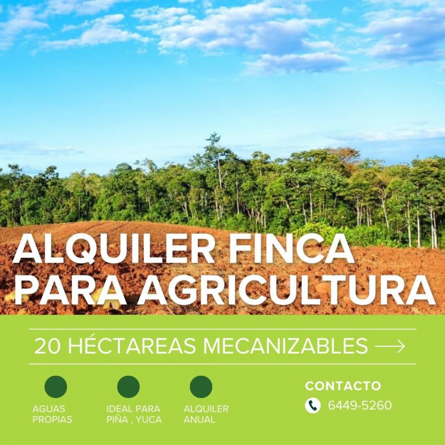 Foto Finca en Alquiler en Upala, Alajuela - 20 hectareas - FIA65201 - BienesOnLine