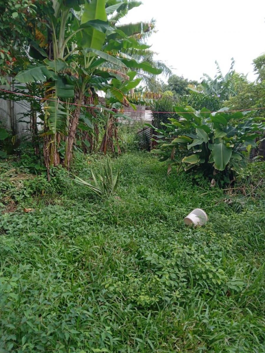 Foto Terreno en Venta en Grecia centro., Grecia, Alajuela - ¢ 140.000.000 - TEV103641 - BienesOnLine