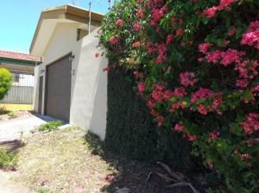 Foto Casa en Alquiler en Santa Ana, San Jos - U$D 1.300 - CAA24443 - BienesOnLine