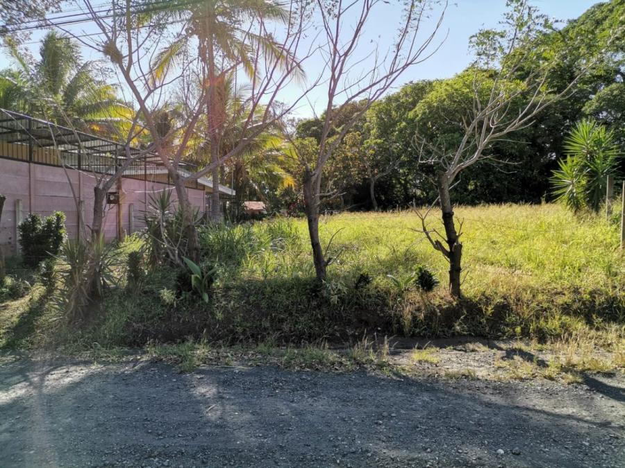 Foto Terreno en Venta en Alajuela alajuela, Alajuela, Alajuela - ¢ 45.000.000 - TEV55081 - BienesOnLine