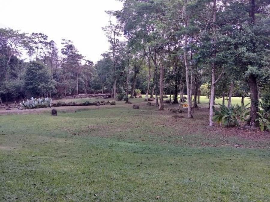 Foto Terreno en Venta en Guapiles, Pococ, Limn - ¢ 79.000.000 - TEV37225 - BienesOnLine