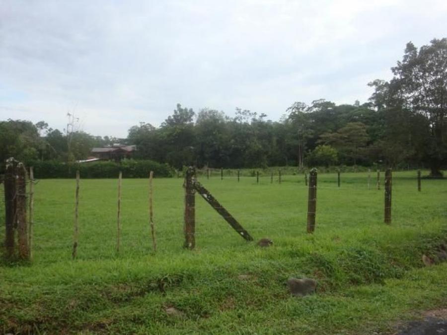 Foto Terreno en Venta en Guapiles, Pococí, Limón - U$D 45.000 - TEV30210 - BienesOnLine