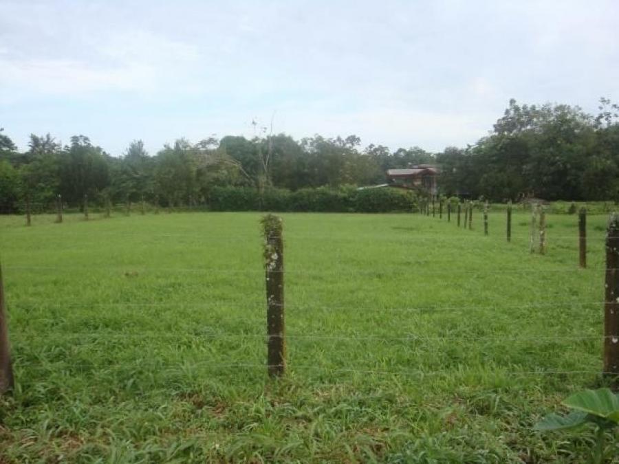 Foto Terreno en Venta en Guapiles, Pococí, Limón - ¢ 26.000.000 - TEV37099 - BienesOnLine