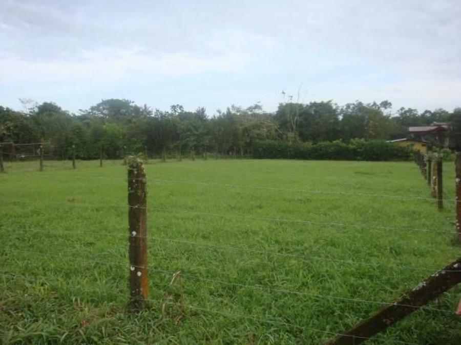 Foto Terreno en Venta en Guapiles, Pococí, Limón - ¢ 26.000.000 - TEV26822 - BienesOnLine