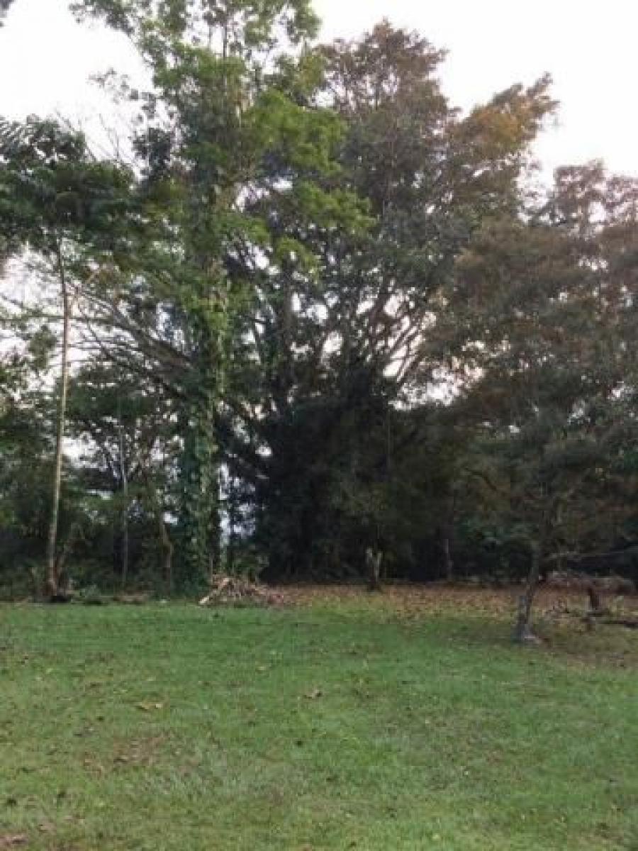 Foto Terreno en Venta en Guapiles, Pococ, Limn - U$D 120.000 - TEV30218 - BienesOnLine