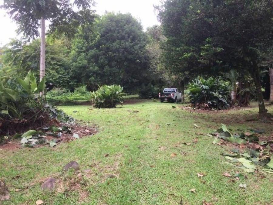 Foto Terreno en Venta en Guapiles, Pococí, Limón - U$D 120.000 - TEV29720 - BienesOnLine