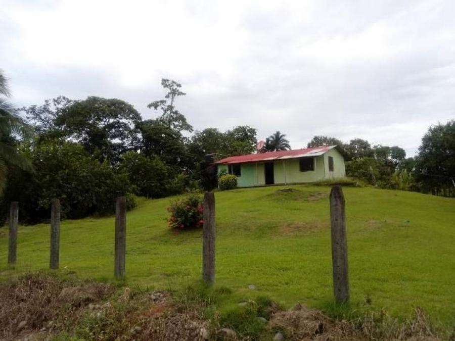 Foto Terreno en Venta en Guapiles, Pococí, Limón - U$D 140.000 - TEV29120 - BienesOnLine