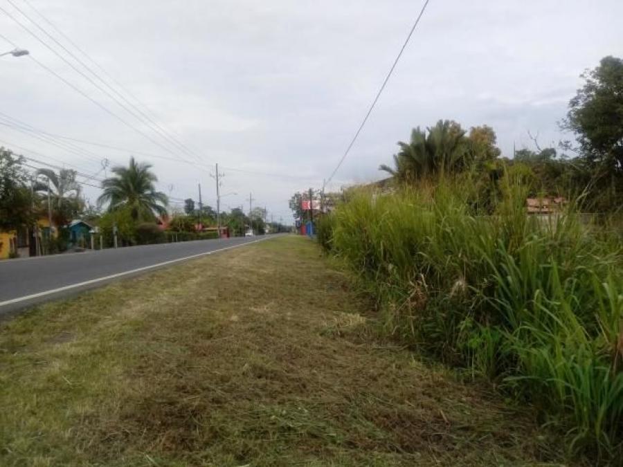 Foto Terreno en Venta en Guapiles, Pococí, Limón - U$D 10.500 - TEV30173 - BienesOnLine