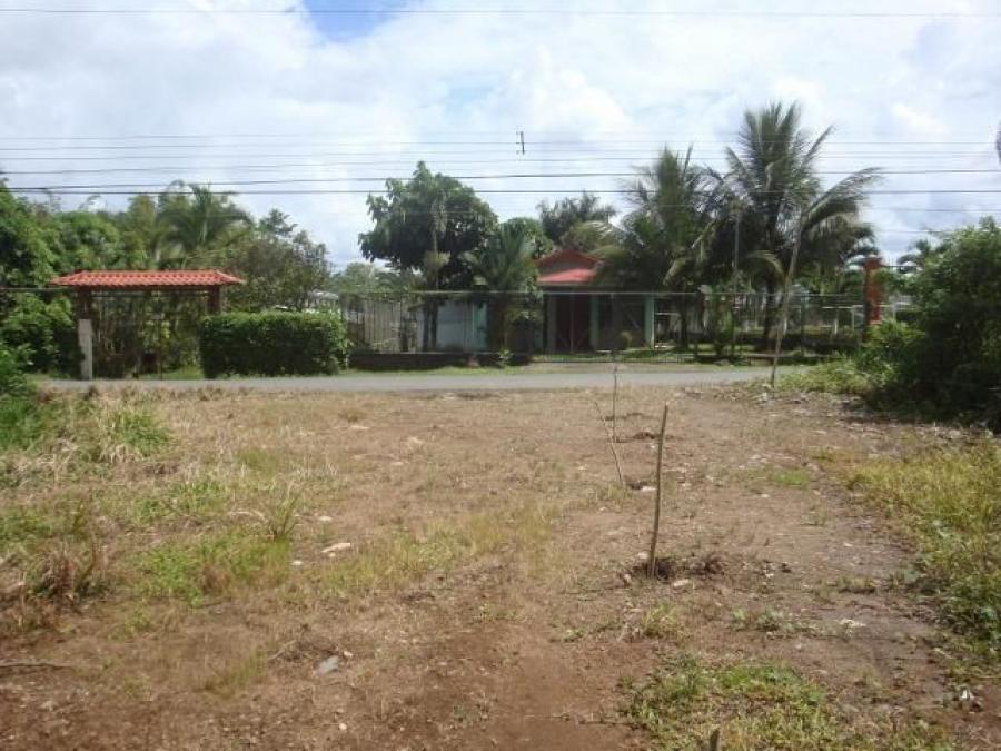 Foto Terreno en Venta en PocoJimenez, Pococí, Limón - ¢ 35.000.000 - TEV27028 - BienesOnLine