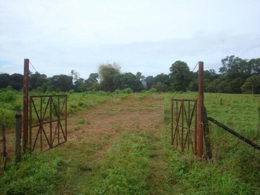 Foto Terreno en Venta en Sarapiqui, Sarapiquí, Heredia - ¢ 230.000.000 - TEV29500 - BienesOnLine