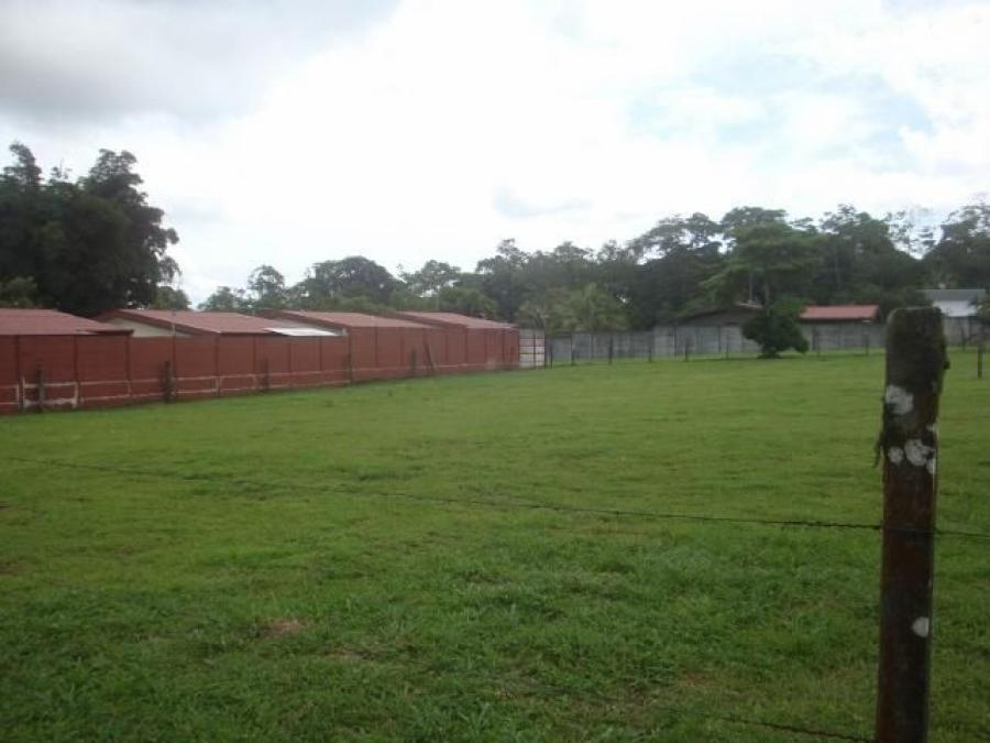 Foto Terreno en Venta en Guapiles, Pococí, Limón - U$D 70.000 - TEV30216 - BienesOnLine