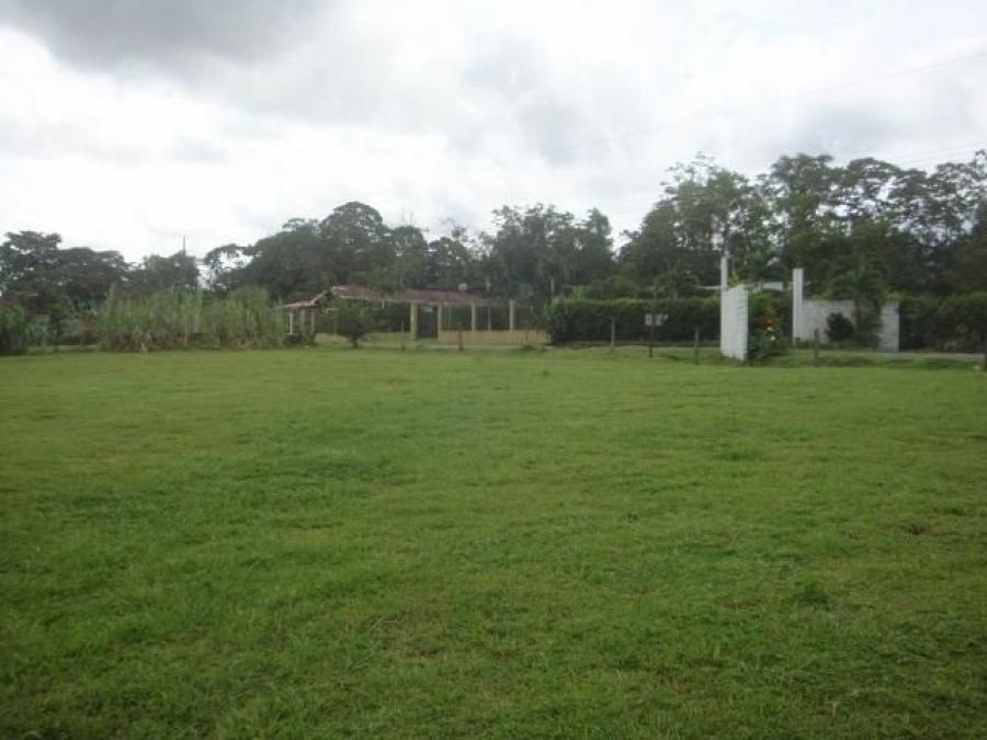 Foto Terreno en Venta en Guapiles, Pococ, Limn - ¢ 40.000.000 - TEV37168 - BienesOnLine