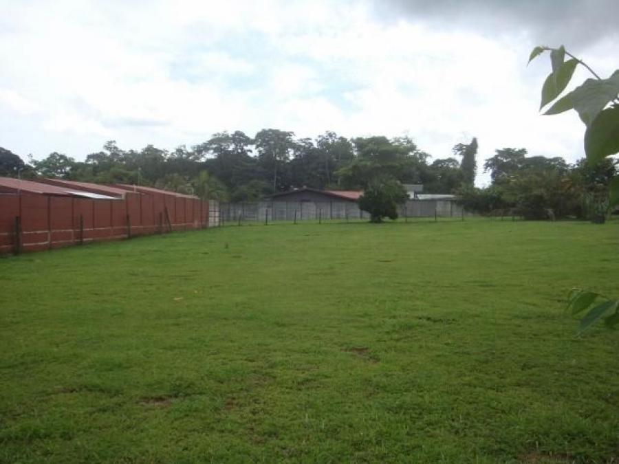 Foto Terreno en Venta en Guapiles, Pococí, Limón - U$D 70.000 - TEV30718 - BienesOnLine