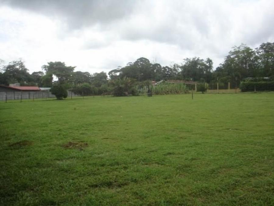 Foto Terreno en Venta en Guapiles, Pococí, Limón - U$D 70.000 - TEV27795 - BienesOnLine