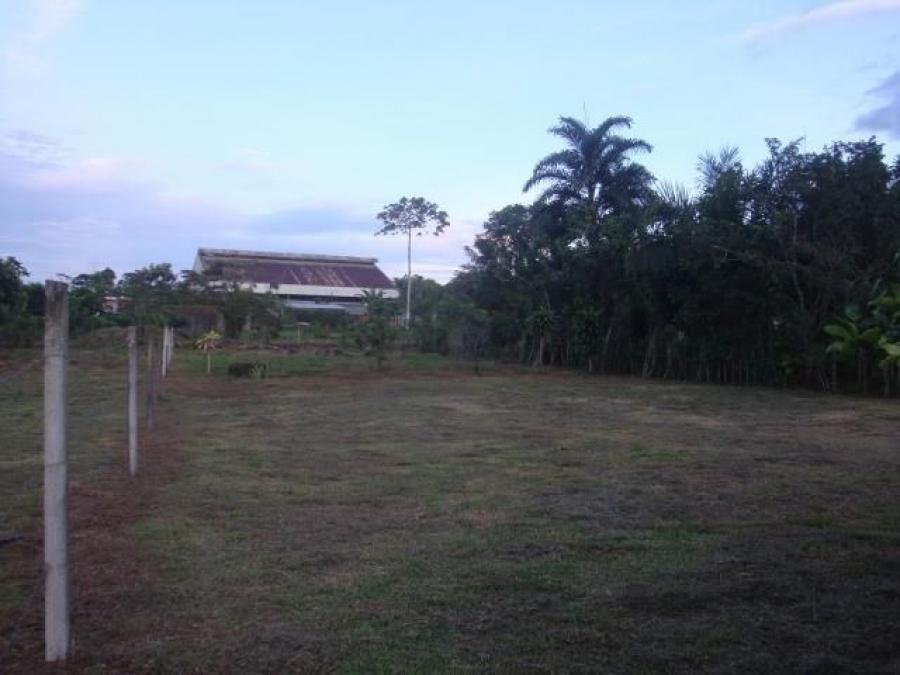 Foto Terreno en Venta en Guapiles, Pococ, Limn - ¢ 18.000.000 - TEV35274 - BienesOnLine