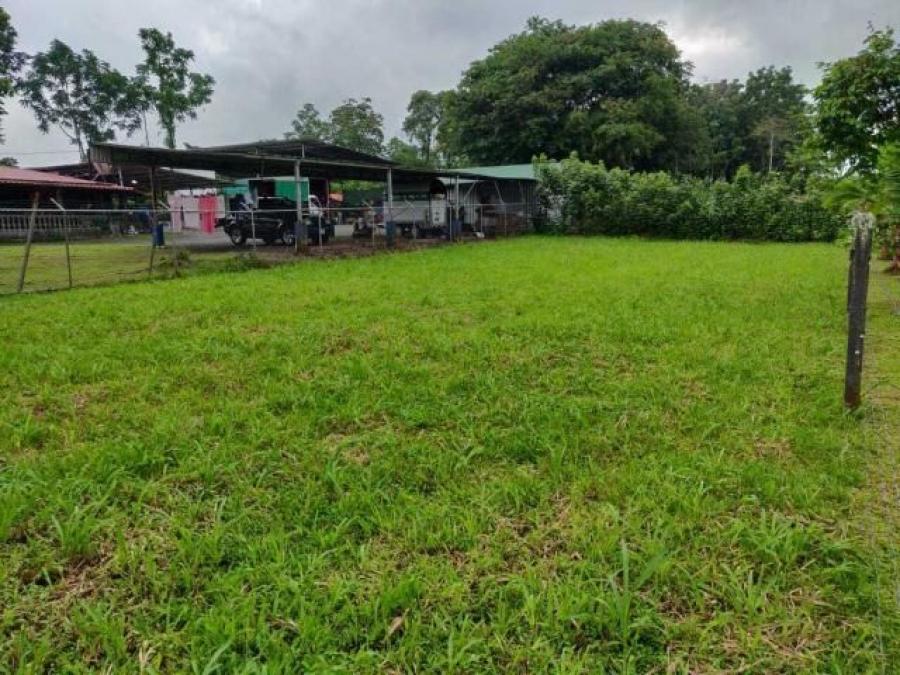 Foto Terreno en Venta en Guapiles, Pococí, Limón - U$D 25.000 - TEV27148 - BienesOnLine