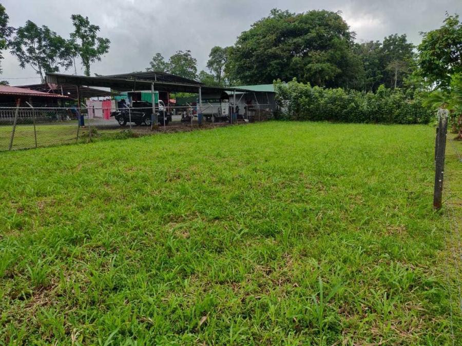 Foto Terreno en Venta en Guapiles, Pococí, Limón - ¢ 12.500.000 - TEV35268 - BienesOnLine