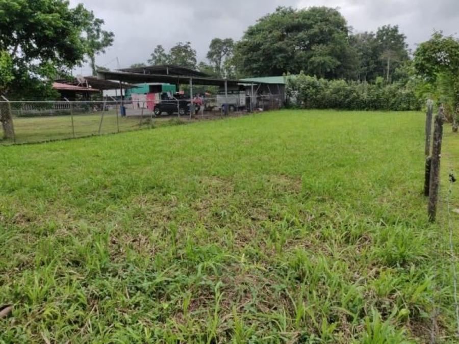 Foto Terreno en Venta en Guapiles, Pococí, Limón - ¢ 12.500.000 - TEV31041 - BienesOnLine