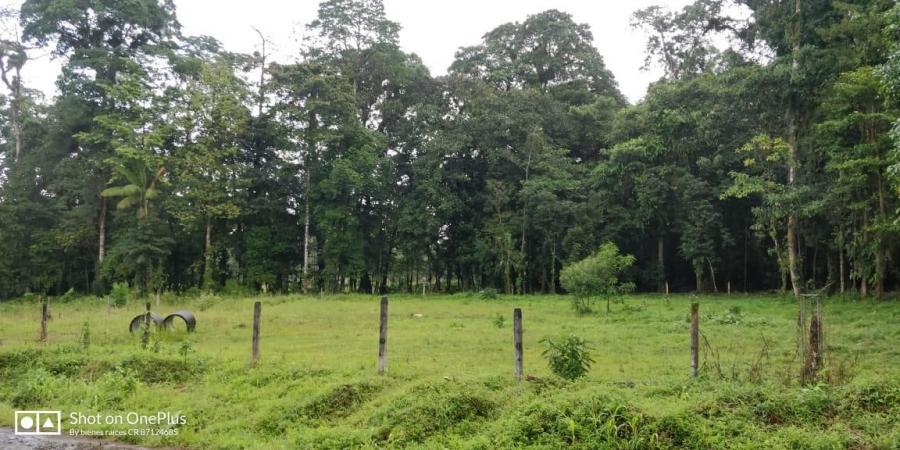 Foto Terreno en Venta en Guapiles, Pococí, Limón - ¢ 17.000.000 - TEV37062 - BienesOnLine