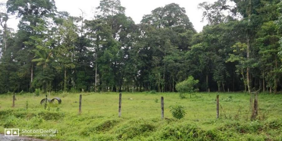 Foto Terreno en Venta en Guapiles, Pococ, Limn - ¢ 17.000.000 - TEV31513 - BienesOnLine