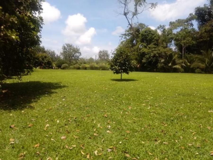 Foto Terreno en Venta en SCLaFortuna, San Carlos, Alajuela - ¢ 120.000.000 - TEV32469 - BienesOnLine