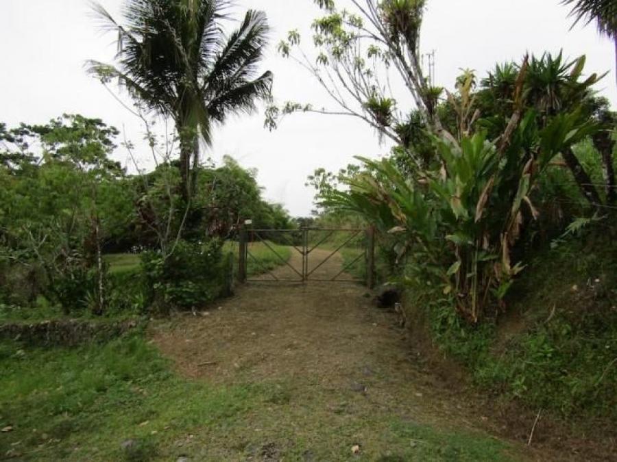 Foto Terreno en Venta en Turrialba, Siquirres, Limón - U$D 248.000 - TEV29520 - BienesOnLine