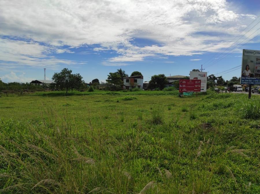 Foto Terreno en Venta en Guapiles, Pococ, Limn - U$D 680.000 - TEV29806 - BienesOnLine