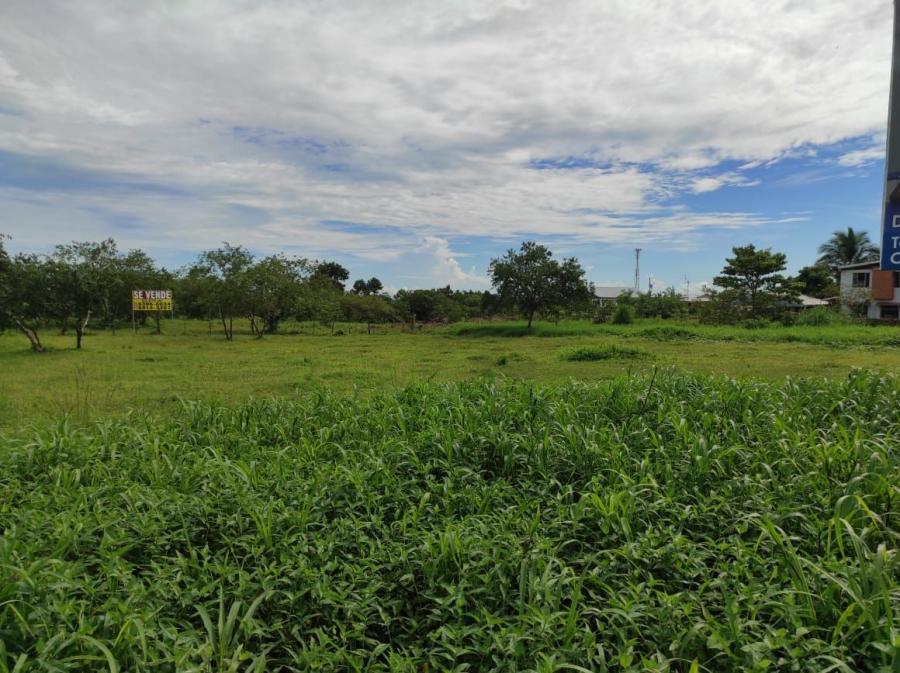 Foto Terreno en Venta en Guapiles, Pococ, Limn - ¢ 385.000.000 - TEV31376 - BienesOnLine