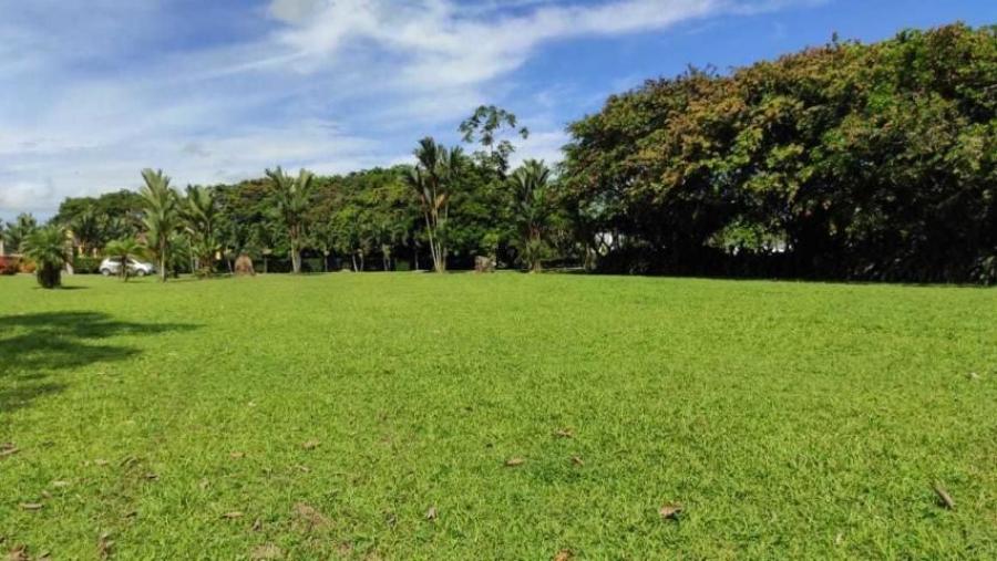 Foto Terreno en Venta en Guapiles, Pococí, Limón - U$D 104.000 - TEV30727 - BienesOnLine