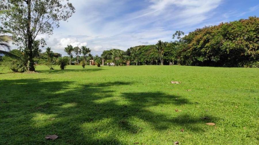 Foto Terreno en Venta en Guapiles, Pococí, Limón - ¢ 60.000.000 - TEV35956 - BienesOnLine