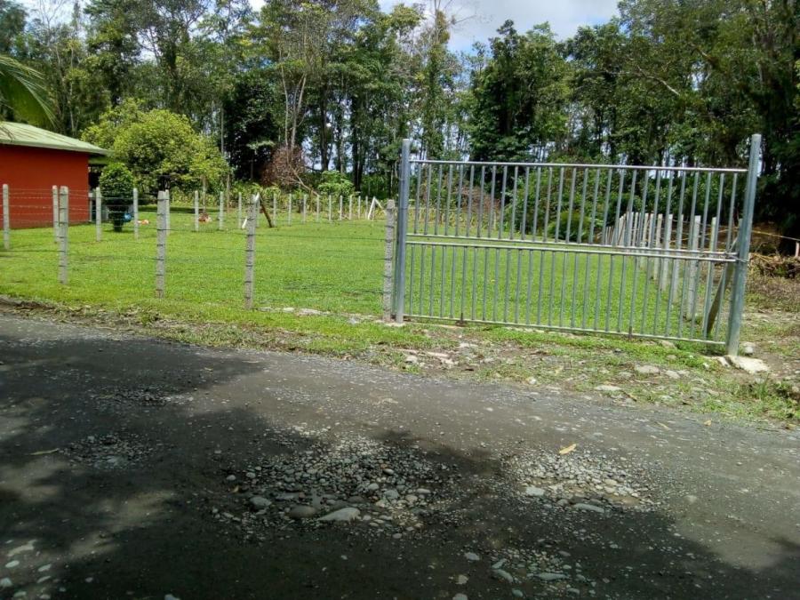 Foto Terreno en Venta en Guapiles, Pococ, Limn - ¢ 8.500.000 - TEV37396 - BienesOnLine