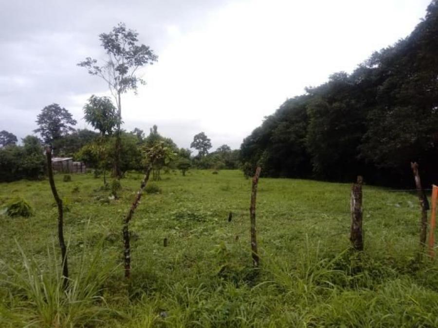 Foto Terreno en Venta en Guapiles, Pococ, Limn - U$D 21.000 - TEV30178 - BienesOnLine