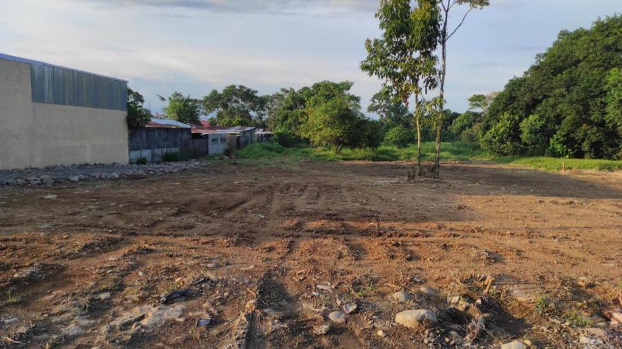 Foto Terreno en Venta en Guapiles, Pococ, Limn - ¢ 11.000.000 - TEV35264 - BienesOnLine