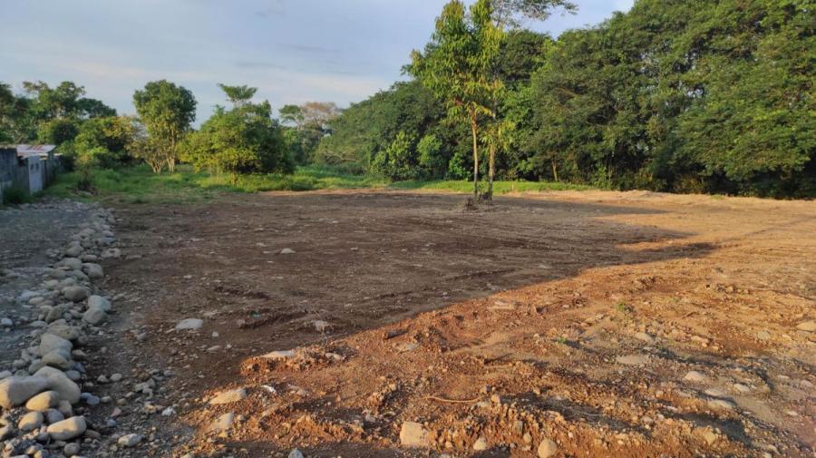 Foto Terreno en Venta en Guapiles, Pococ, Limn - ¢ 11.000.000 - TEV35775 - BienesOnLine