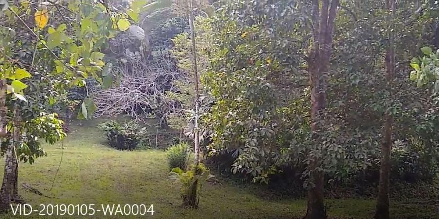 Foto Terreno en Venta en GUAPlayaNegra, Limón, Limón - ¢ 17.500.000 - TEV37055 - BienesOnLine