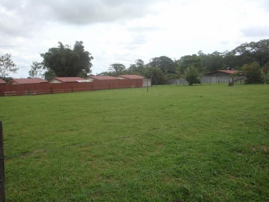 Foto Terreno en Venta en Guapiles, Pococí, Limón - ¢ 4.200.000 - TEV33117 - BienesOnLine