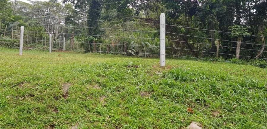 Foto Terreno en Venta en Guapiles, Pococí, Limón - ¢ 4.000.000 - TEV32202 - BienesOnLine