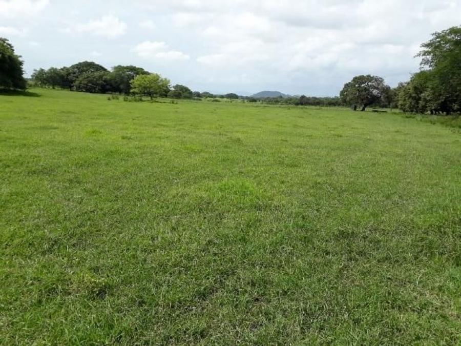 CG-20-827.  Oportunidad de Inversión, Terreno con 500.000Mts2 en Venta.  En Liberia.   