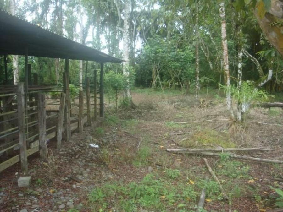 Foto Terreno en Venta en Guapiles, Pococí, Limón - ¢ 99.000.000 - TEV27209 - BienesOnLine