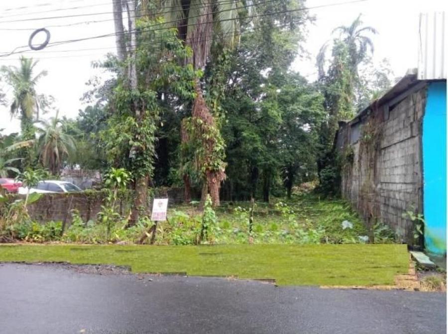 Foto Terreno en Venta en Guapiles, Pococ, Limn - ¢ 120.000.000 - TEV37256 - BienesOnLine