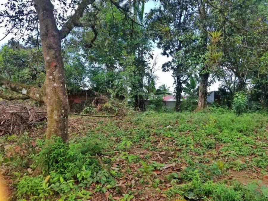 Foto Terreno en Venta en Guapiles, Pococ, Limn - U$D 24.900 - TEV38100 - BienesOnLine