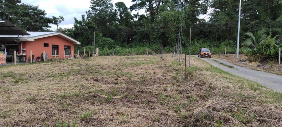 Foto Terreno en Venta en Guapiles, Pococ, Limn - ¢ 19.500.000 - TEV38016 - BienesOnLine