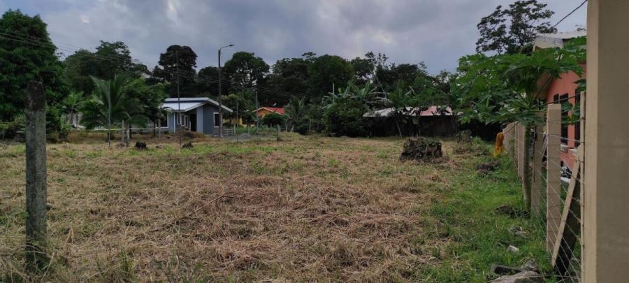 Foto Terreno en Venta en Guapiles, Pococ, Limn - ¢ 21.000.000 - TEV35270 - BienesOnLine