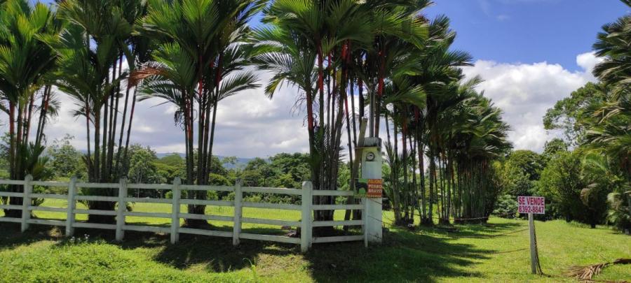 Foto Terreno en Venta en Guapiles, Pococí, Limón - ¢ 59.000.000 - TEV37196 - BienesOnLine