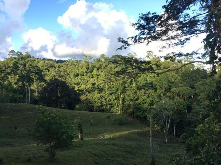 Foto Terreno en Venta en Guapiles, Pococí, Limón - ¢ 50.000.000 - TEV37175 - BienesOnLine